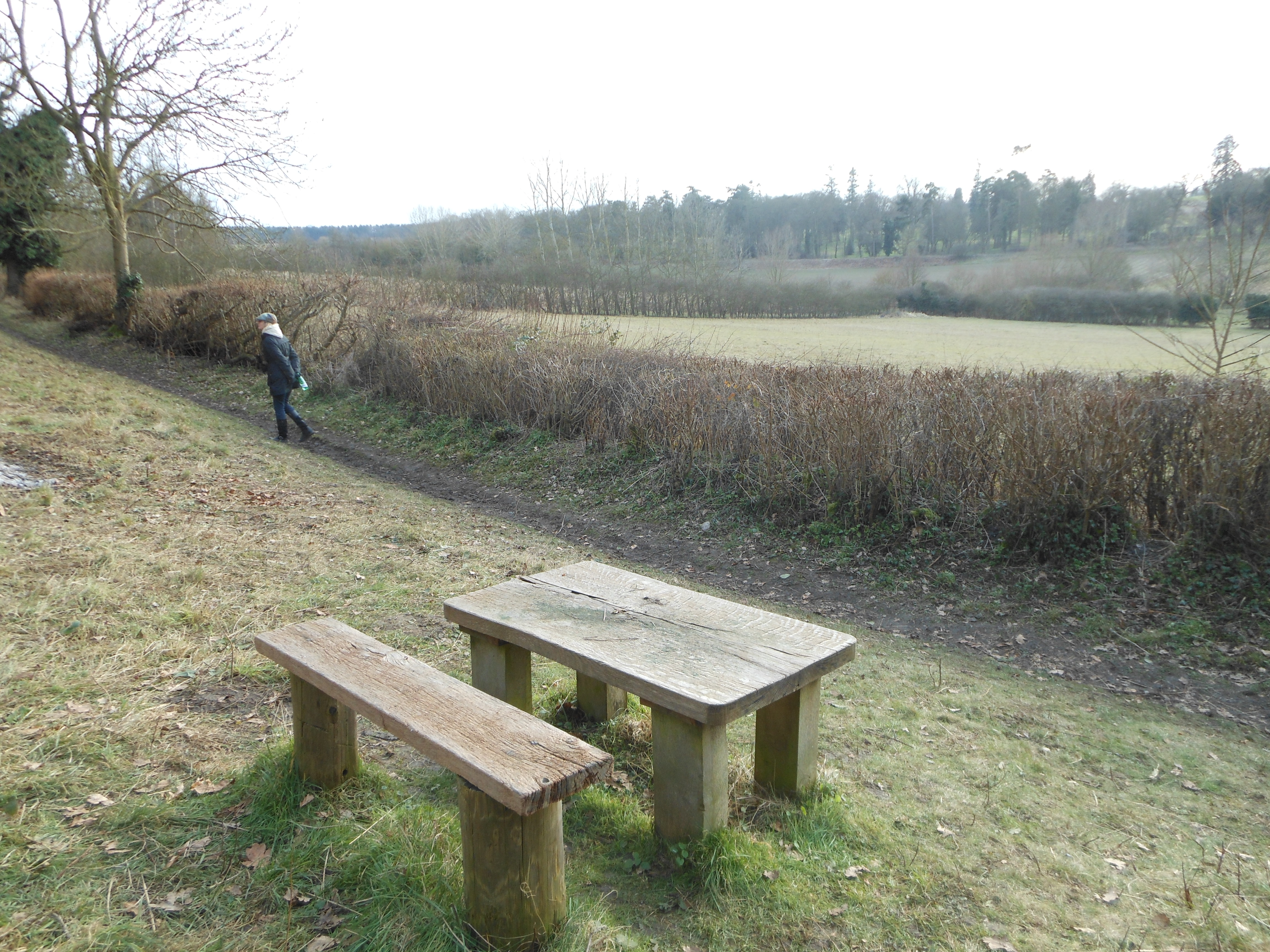 Broomhill walk picnic bench