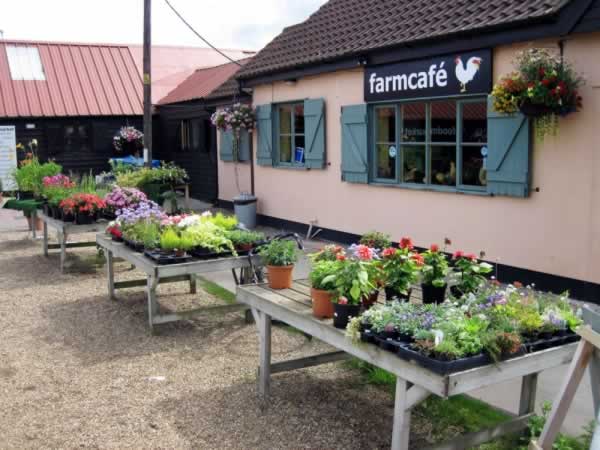 Farm Cafe Marlesford