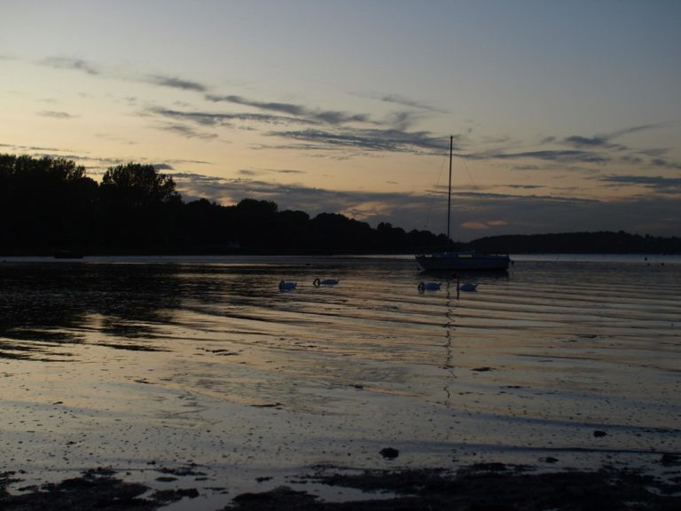 What to do in Pin Mill Where Do We?